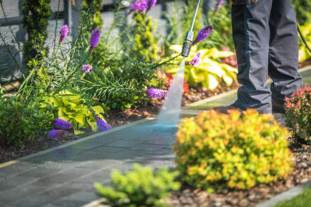 Best Animal Enclosure Cleaning  in East Pasadena, CA