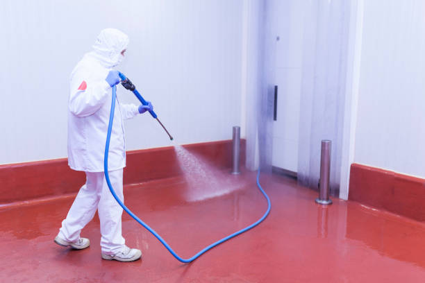 Best Winterizing Services  in East Pasadena, CA